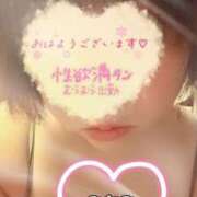 ヒメ日記 2025/03/16 06:48 投稿 みなみ 熟女の風俗最終章 高崎店