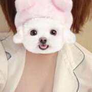 ヒメ日記 2025/05/18 07:28 投稿 みなみ 熟女の風俗最終章 高崎店