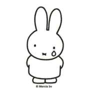 ヒメ日記 2025/02/20 22:27 投稿 りの アラモード