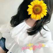 ヒメ日記 2025/05/19 12:10 投稿 なつき SMAT×SMAT（スマットスマット）