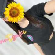 ヒメ日記 2025/07/14 17:03 投稿 なつき SMAT×SMAT（スマットスマット）