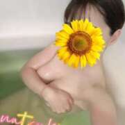 ヒメ日記 2025/07/19 09:03 投稿 なつき SMAT×SMAT（スマットスマット）