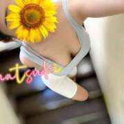 ヒメ日記 2025/07/24 10:38 投稿 なつき SMAT×SMAT（スマットスマット）