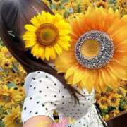 ヒメ日記 2025/08/15 23:37 投稿 なつき SMAT×SMAT（スマットスマット）