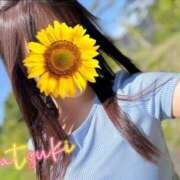 ヒメ日記 2025/08/30 09:08 投稿 なつき SMAT×SMAT（スマットスマット）