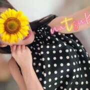 ヒメ日記 2025/09/24 01:17 投稿 なつき SMAT×SMAT（スマットスマット）