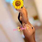 ヒメ日記 2025/10/04 16:30 投稿 なつき SMAT×SMAT（スマットスマット）