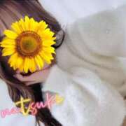 ヒメ日記 2025/11/24 19:32 投稿 なつき SMAT×SMAT（スマットスマット）