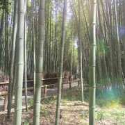 ヒメ日記 2025/04/09 16:23 投稿 よしえ 完熟ばなな大宮