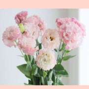 ヒメ日記 2025/06/06 16:53 投稿 よしえ 完熟ばなな大宮