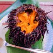 ヒメ日記 2025/08/13 22:23 投稿 よしえ 完熟ばなな大宮