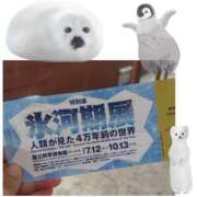 ヒメ日記 2025/09/12 06:43 投稿 よしえ 完熟ばなな大宮