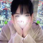 ヒメ日記 2025/03/31 17:37 投稿 愛川　さら 川崎南町人妻高級ソープ エル・カーヒル(ELCURHIL)秘密の刻