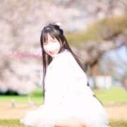 ヒメ日記 2026/04/09 11:49 投稿 愛川　さら 川崎南町人妻高級ソープ エル・カーヒル(ELCURHIL)秘密の刻