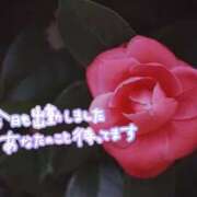 ヒメ日記 2025/01/02 12:07 投稿 早見 いろは Men's relaxation VEGA