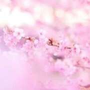 ヒメ日記 2025/03/18 19:26 投稿 早見 いろは Men's relaxation VEGA