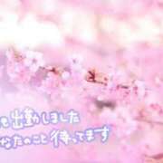 ヒメ日記 2025/04/05 14:02 投稿 早見 いろは Men's relaxation VEGA