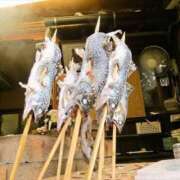 ヒメ日記 2025/04/10 22:20 投稿 早見 いろは Men's relaxation VEGA