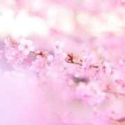 ヒメ日記 2025/04/29 16:01 投稿 早見 いろは Men's relaxation VEGA