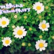 ヒメ日記 2025/05/06 09:57 投稿 早見 いろは Men's relaxation VEGA