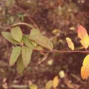 ヒメ日記 2026/09/02 15:07 投稿 早見 いろは Men's relaxation VEGA