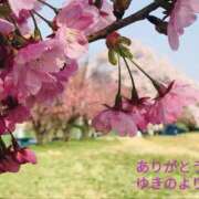 ヒメ日記 2025/04/14 20:04 投稿 ゆきの 熟女の風俗最終章 新潟店