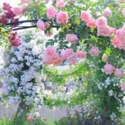 ヒメ日記 2025/06/01 15:12 投稿 ゆきの 熟女の風俗最終章 新潟店