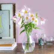 ヒメ日記 2025/07/01 06:49 投稿 ゆきの 熟女の風俗最終章 新潟店