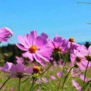 ヒメ日記 2025/09/01 09:41 投稿 ゆきの 熟女の風俗最終章 新潟店