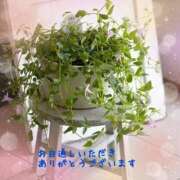 ヒメ日記 2025/09/27 06:29 投稿 ゆきの 熟女の風俗最終章 新潟店