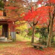 ヒメ日記 2025/11/21 08:10 投稿 ゆきの 熟女の風俗最終章 新潟店