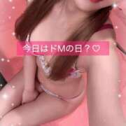 ヒメ日記 2025/05/12 17:34 投稿 はな 道玄坂クリスタル