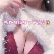 ヒメ日記 2026/02/16 09:46 投稿 はな 道玄坂クリスタル