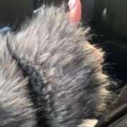 ヒメ日記 2026/02/21 10:46 投稿 はな 道玄坂クリスタル