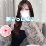 ヒメ日記 2026/03/31 20:18 投稿 はな 道玄坂クリスタル