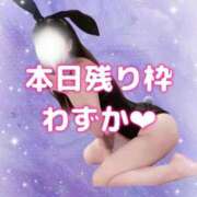 ヒメ日記 2026/04/02 05:26 投稿 はな 道玄坂クリスタル