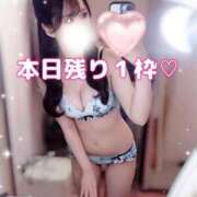 ヒメ日記 2026/05/17 07:46 投稿 はな 道玄坂クリスタル