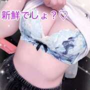 ヒメ日記 2026/06/04 07:57 投稿 はな 道玄坂クリスタル