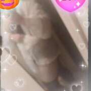 ヒメ日記 2025/02/11 23:30 投稿 ちな 大阪ぽっちゃりマニア 谷九店