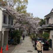 ヒメ日記 2025/04/17 14:10 投稿 ちな 大阪ぽっちゃりマニア 谷九店