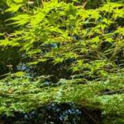 ヒメ日記 2025/05/10 05:38 投稿 ちな 大阪ぽっちゃりマニア 谷九店