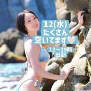 ヒメ日記 2026/08/12 10:58 投稿 えり 深海魚