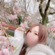 ヒメ日記 2025/04/10 14:21 投稿 Miyu THE RICH