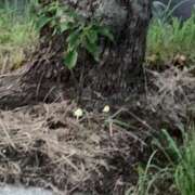 ヒメ日記 2025/08/14 14:01 投稿 さりな ポッキリ学園 ～モテモテハーレムごっこ～