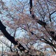 音瀬　あゆみ 明日はローズマリー🌸 東京ローズマリー