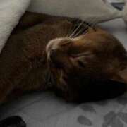 ヒメ日記 2025/12/10 07:01 投稿 みき 快楽夫人