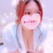 ヒメ日記 2025/06/19 13:41 投稿 まこと 大阪ぽっちゃりマニア 谷九店