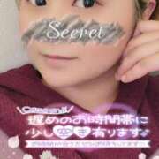 ヒメ日記 2025/04/16 17:07 投稿 矢口 熟女の風俗最終章 横浜本店