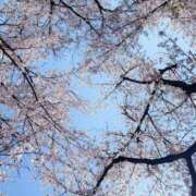 ヒメ日記 2026/04/10 09:01 投稿 まき スチュワーデス