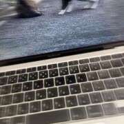 ヒメ日記 2025/04/09 01:13 投稿 おと もみもみワンダーランド